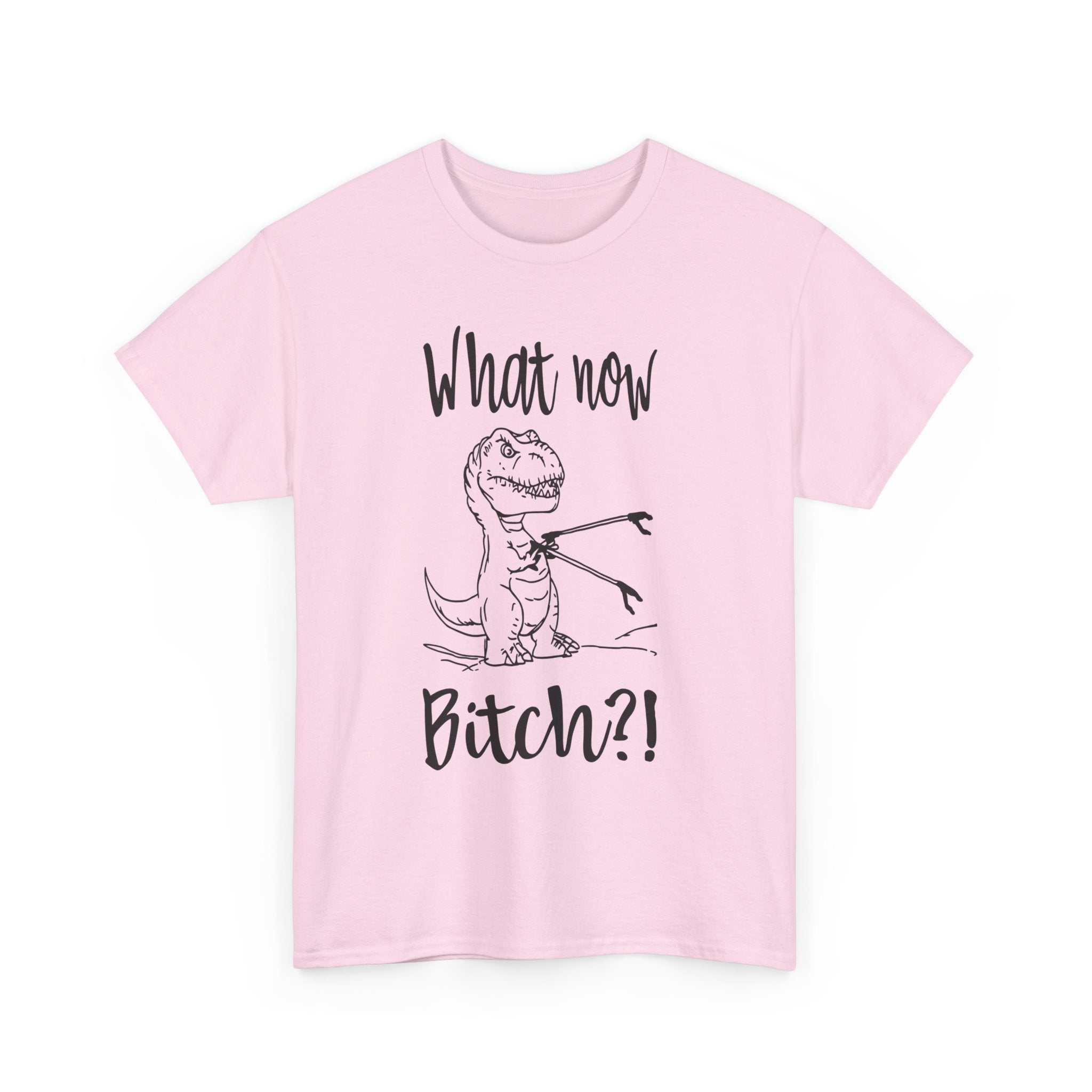 Funny T-Rex Graphic Tee - What Now Bitch Dinosaur Unisex T-Shirt