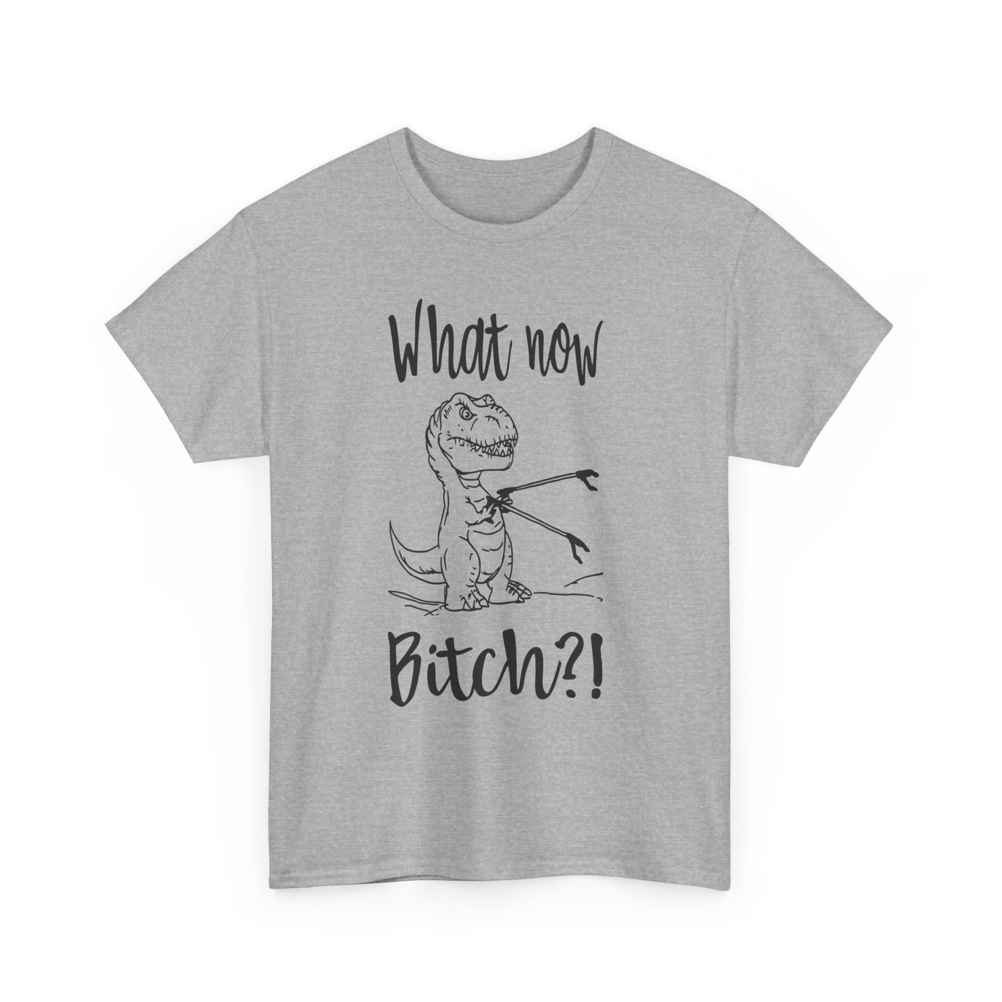 Funny T-Rex Graphic Tee - What Now Bitch Dinosaur Unisex T-Shirt