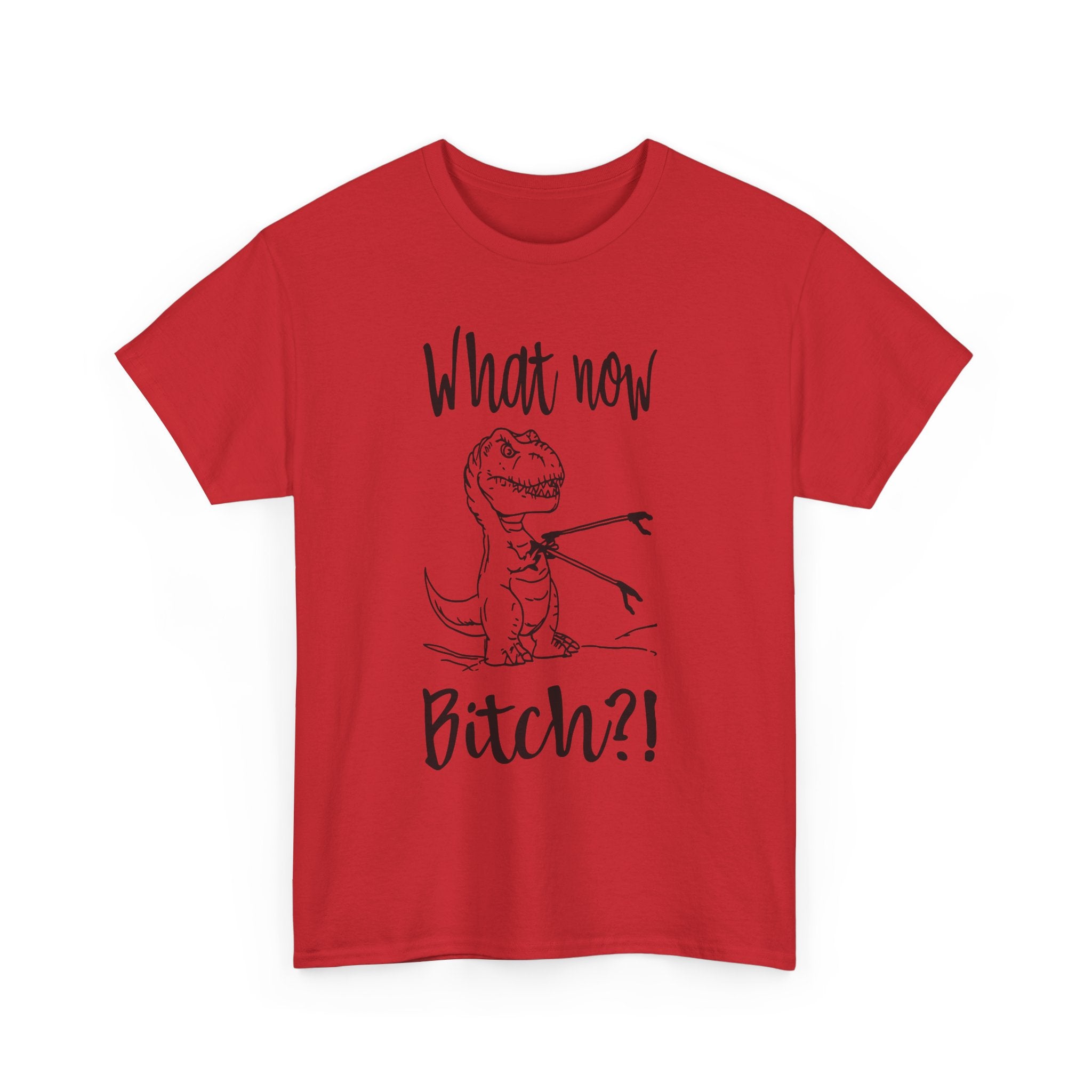Funny T-Rex Graphic Tee - What Now Bitch Dinosaur Unisex T-Shirt
