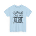 Funny Sibling Graphic Tee - A Great Sister Will Run Over The Idiot Unisex T-Shirt