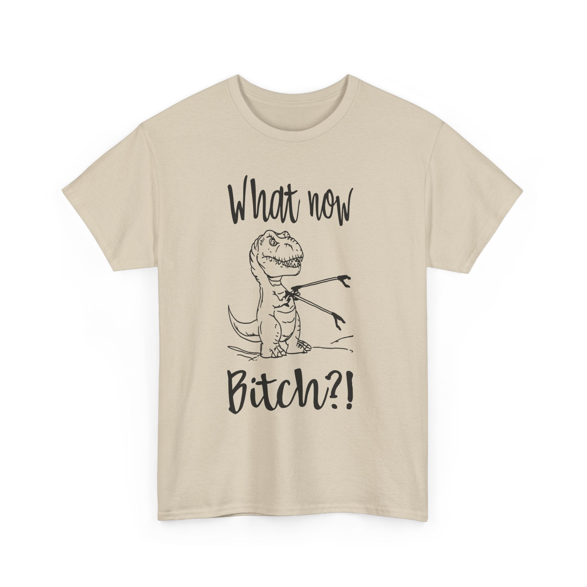 Funny T-Rex Graphic Tee - What Now Bitch Dinosaur Unisex T-Shirt