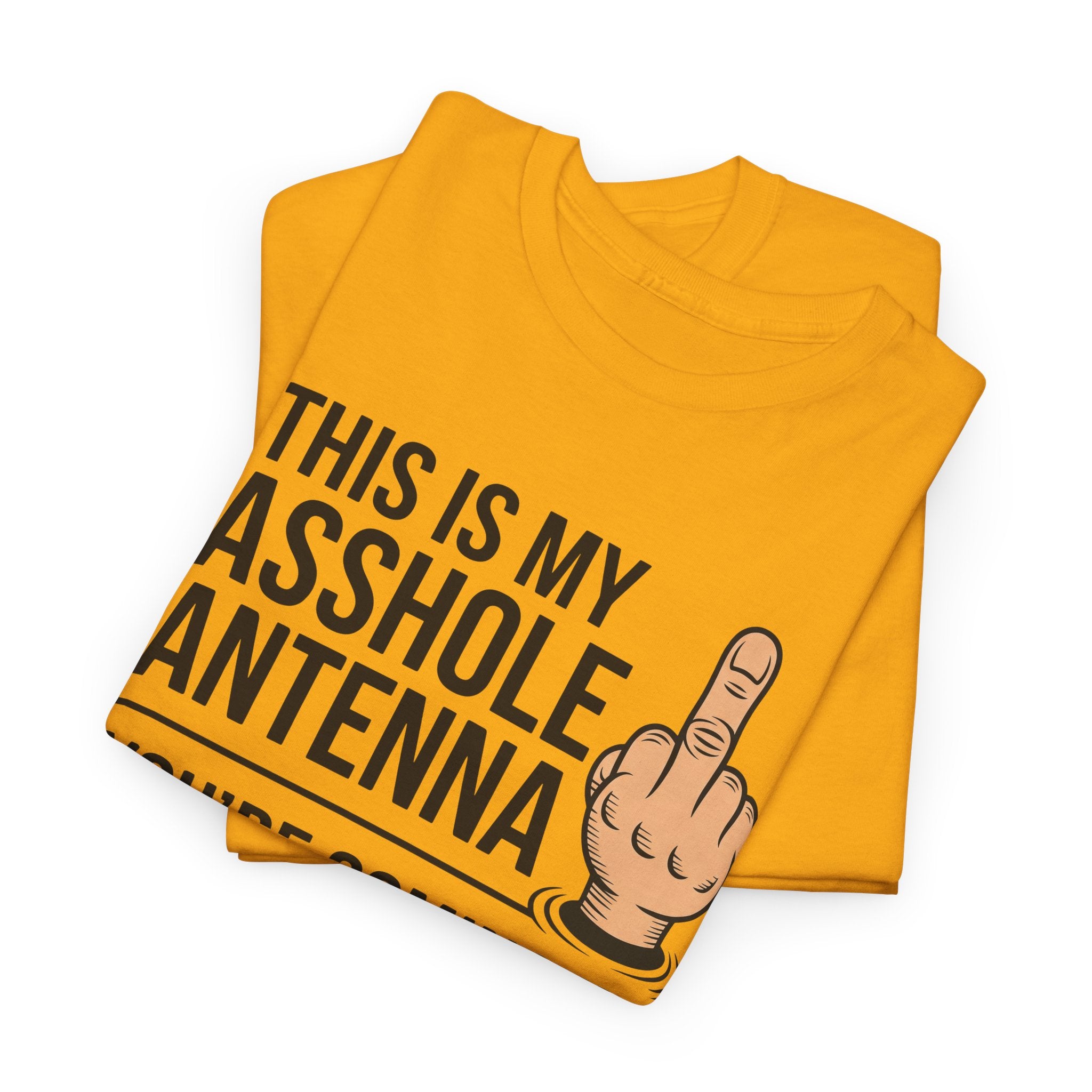 Funny Sarcastic Tee - This Is My Asshole Antenna Unisex T-Shirt | Edgy Graphic Shirt