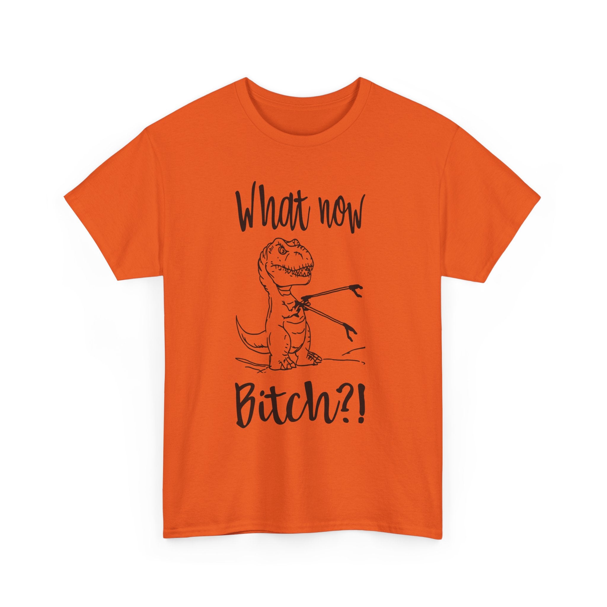 Funny T-Rex Graphic Tee - What Now Bitch Dinosaur Unisex T-Shirt