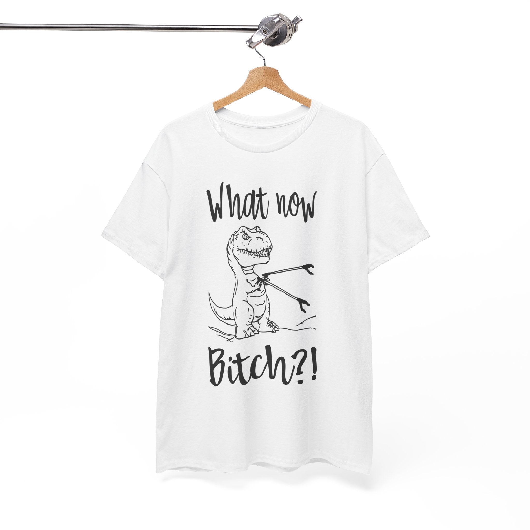 Funny T-Rex Graphic Tee - What Now Bitch Dinosaur Unisex T-Shirt