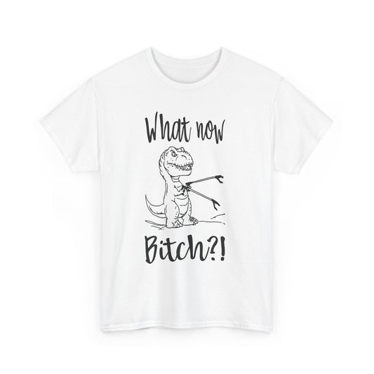 Funny T-Rex Graphic Tee - What Now Bitch Dinosaur Unisex T-Shirt