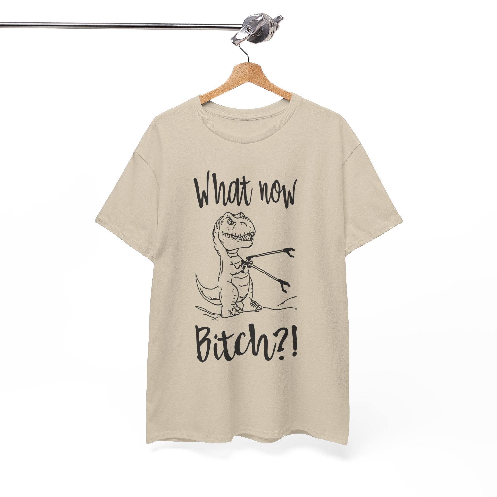 Funny T-Rex Graphic Tee - What Now Bitch Dinosaur Unisex T-Shirt
