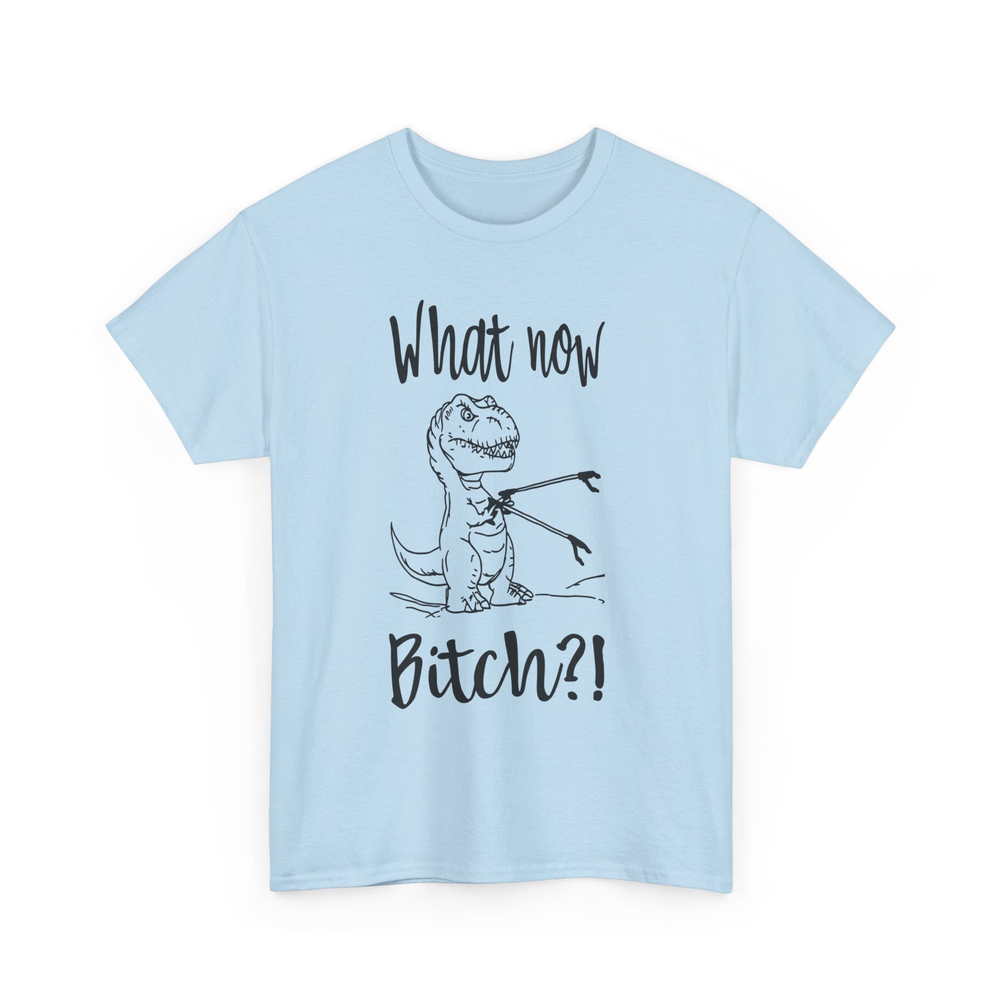 Funny T-Rex Graphic Tee - What Now Bitch Dinosaur Unisex T-Shirt