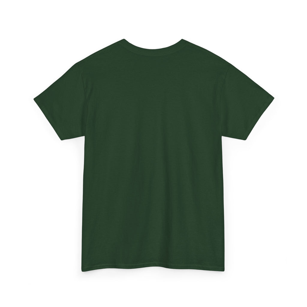 Funny Sarcastic Tee - I Will Paint A House With A Q-Tip Unisex T-Shirt