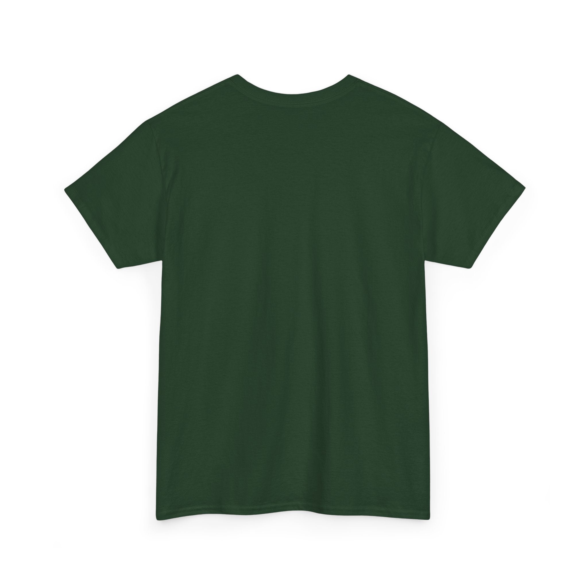 Funny Sarcastic Tee - I Will Paint A House With A Q-Tip Unisex T-Shirt